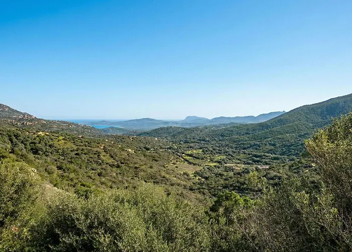 Sabrina's By Interhome Holiday home Olbia